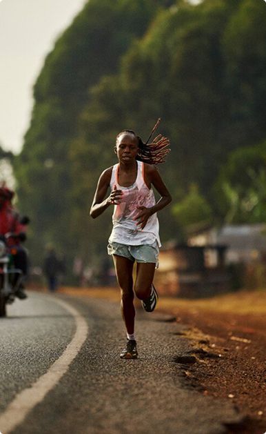 REWARDS FOR THE  family